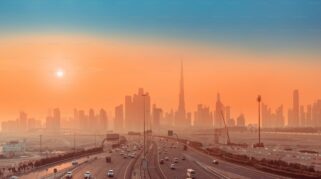 hewan peliharaan ditinggalkan di Dubai