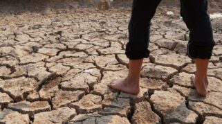 Strategi Hadapi Musim Kemarau