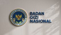 kepala badan gizi nasional